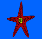 Dibujo Estrella de mar pintado por analaurabeibi