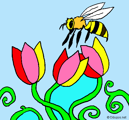 Abeja