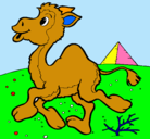 Dibujo Camello pintado por guillermito