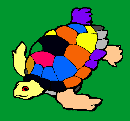 Tortuga