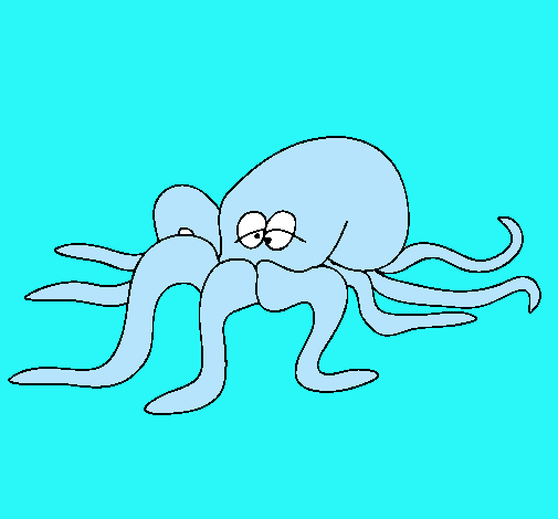 Pulpo