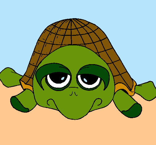 Tortuga