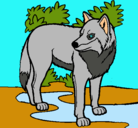 Dibujo Lobo pintado por perritosmonos