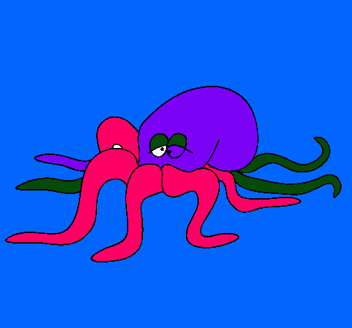 Pulpo