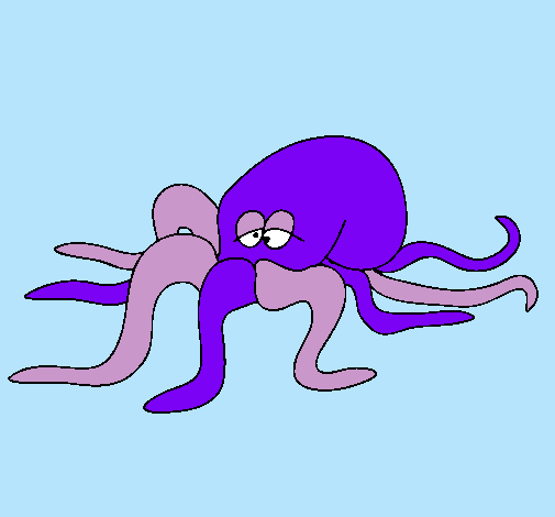 Pulpo