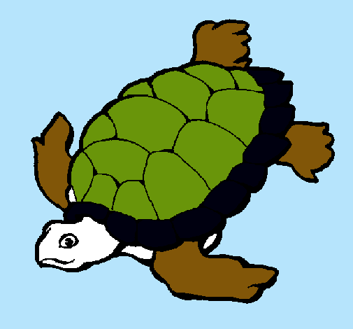 Tortuga