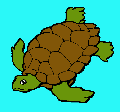 Tortuga