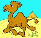 Dibujo Camello pintado por KAROL