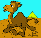 Dibujo Camello pintado por nayara