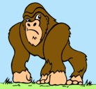 Dibujo Gorila pintado por rodrigo