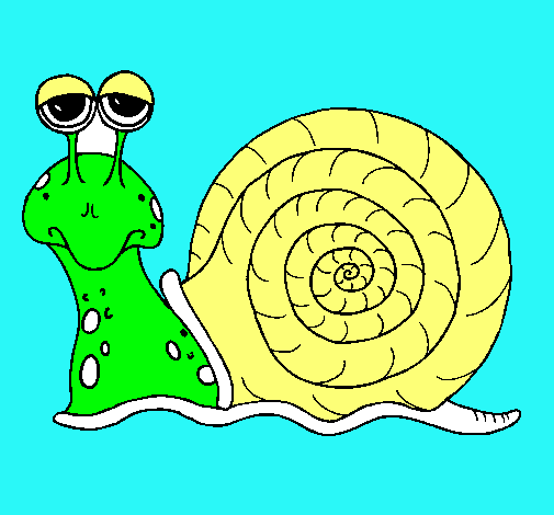 Caracol