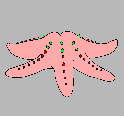 Estrella de mar