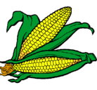 Dibujo Mazorca de maíz pintado por mva