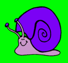 Dibujo Caracol  pintado por milagros