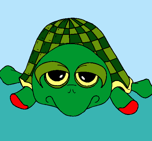 Tortuga