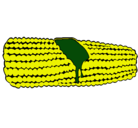 Dibujo Mazorca de maíz pintado por zacek