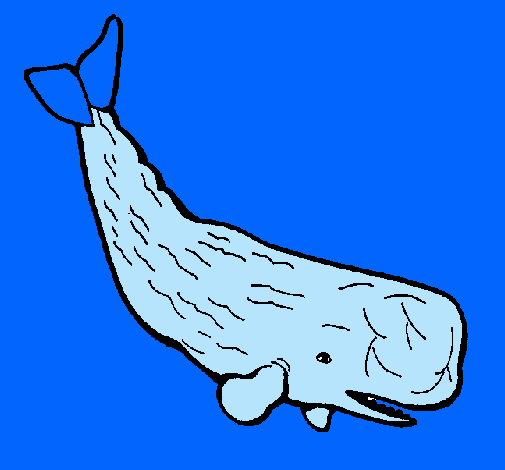 Ballena grande