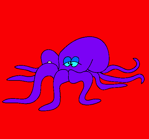 Pulpo