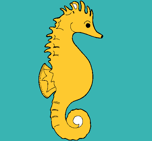 Caballito de mar