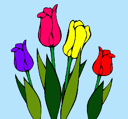 Tulipanes