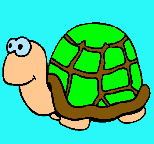 Tortuga