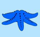 Dibujo Estrella de mar pintado por ximenaronquillorico