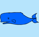 Dibujo Ballena azul pintado por mmqbjgqb