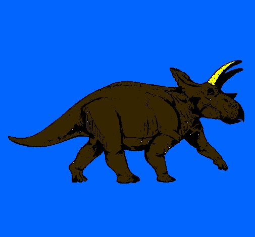 Triceratops