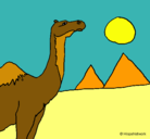 Dibujo Camello pintado por ana