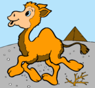 Dibujo Camello pintado por Cristy