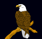 Dibujo Águila en una rama pintado por amaterasu