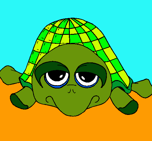 Tortuga