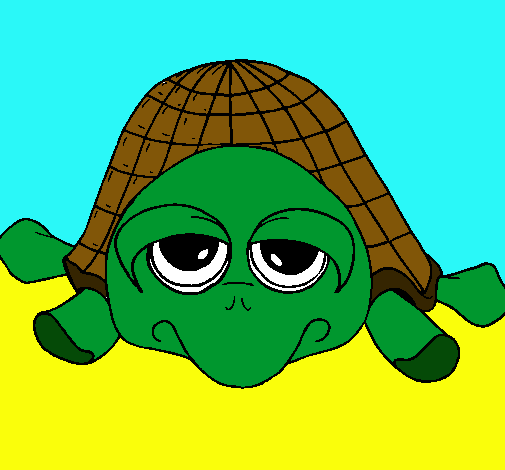 Tortuga