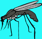 Dibujo Mosquito pintado por jorgeivan