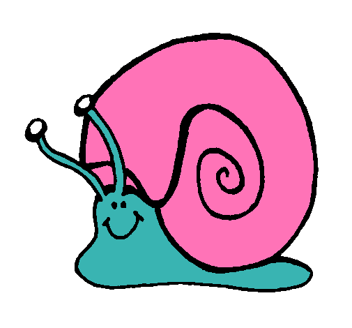 Caracol 