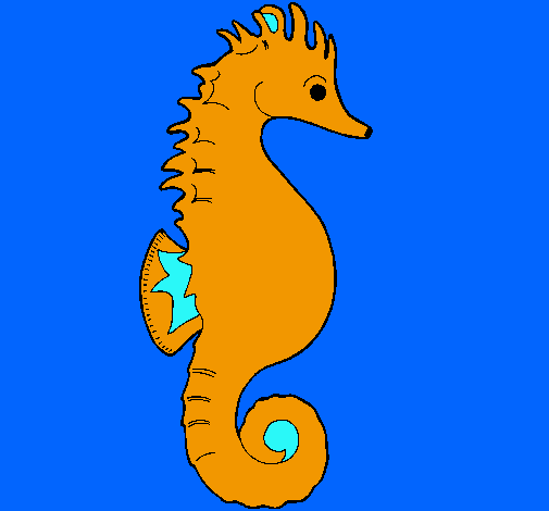 Caballito de mar