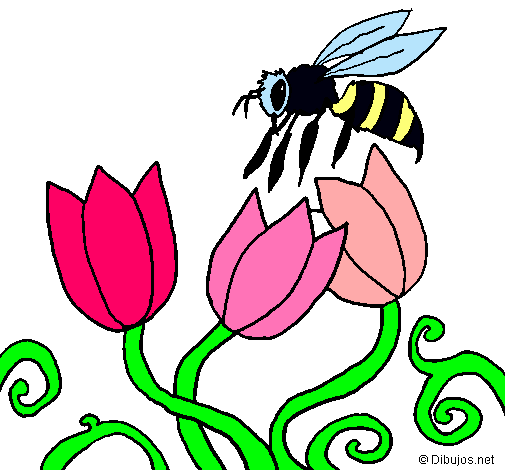 Abeja