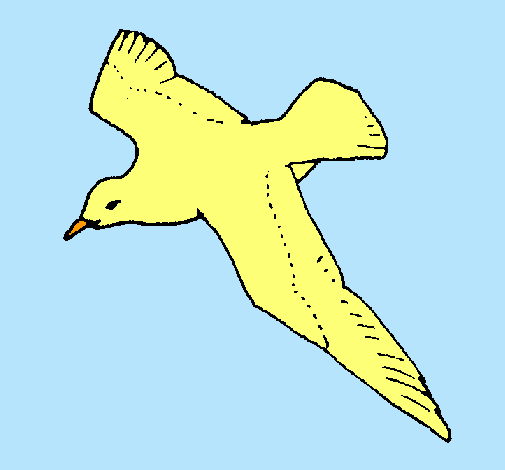 Gaviota