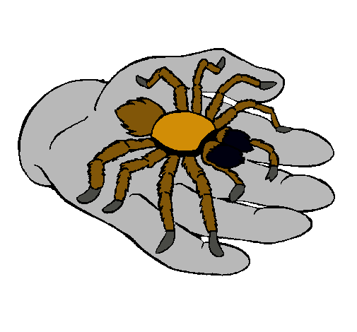 Tarántula