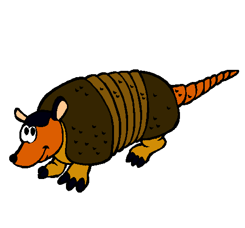 Armadillo