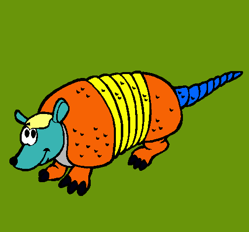 Armadillo