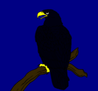 Dibujo Águila en una rama pintado por aguilanegra