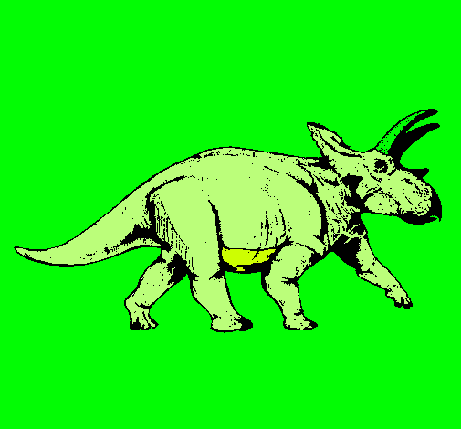 Triceratops