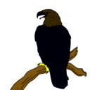 Dibujo Águila en una rama pintado por aguilanegra