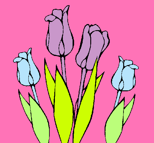 Tulipanes