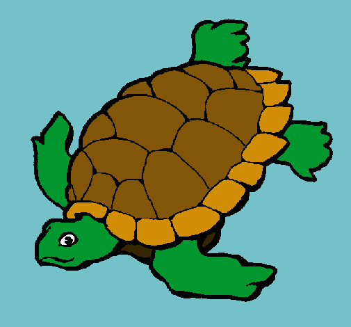 Tortuga