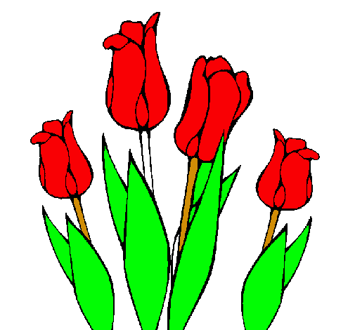 Tulipanes