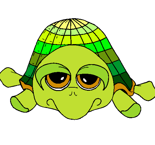 Tortuga