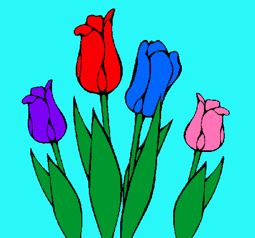 Tulipanes