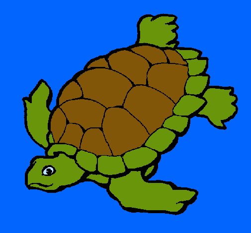 Tortuga